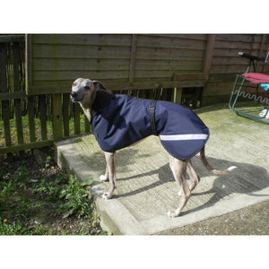 Greyhound coat with reflective for safety