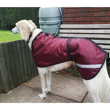 Load image into Gallery viewer, waterproof saluki coat for winter wear. greyhounds, borzoi, whippets. perfect waterproof dog coats
