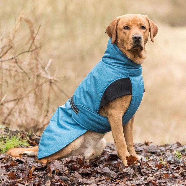 Lightweight waterproof dog coat best sale