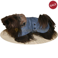Load image into Gallery viewer, Pekingese dog coat in blue with press studs | DryDogs
