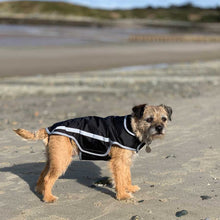 Load image into Gallery viewer, border terrier dog coat with leg straps. summer, light weight dog coats
