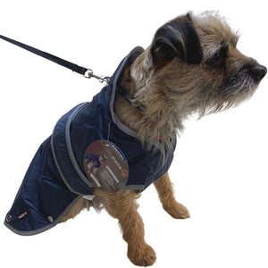 navy blue dog coat with harness hole