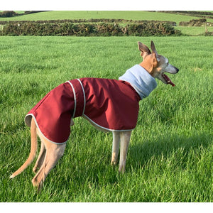 Waterproof whippet coats uk with built in snood / head cover. Full neck coverage whippet coats uk. 