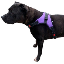 Load image into Gallery viewer, dog harnesses

