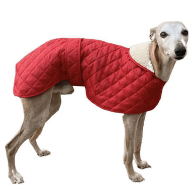 Red quilted whippet/greyhound dog coat. Velcro fastening front and waist
