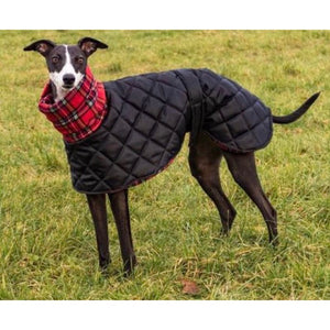 Black padded whippet coat with red tartan fleece lining