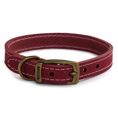 British made dog store collars