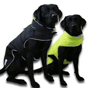 reversible padded dog coat with harness hole winter