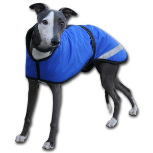 royal blue whippet coats made in the uk to order by Kellings Dog Coats 
