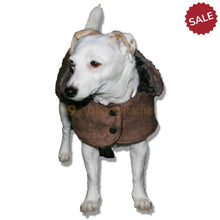 Load image into Gallery viewer, Small dog coats for jack russell border terrer westie etc | DryDogs
