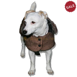 Small dog coats for jack russell border terrer westie etc | DryDogs