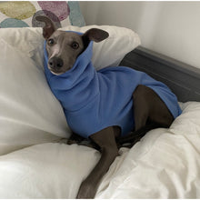 Load image into Gallery viewer, Smokey the 2 year old whippet wearing his sleeveless whippet pyjama fleece with snood
