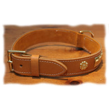Load image into Gallery viewer, Suede backed tan coloured, leather Staffie collar in sizes small medium and large dog
