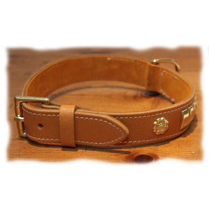 Suede backed tan coloured, leather Staffie collar in sizes small medium and large dog