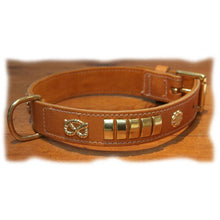 Load image into Gallery viewer, Tan leather staffy staff staffie traditional collar with brass and suede backing for comfort
