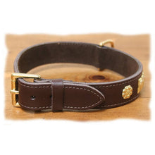 Load image into Gallery viewer, Suede backed, soft brown leather staffy collar with brass fittings
