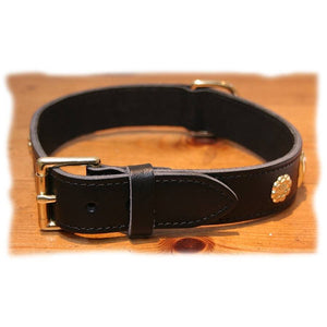 Suede backed, leather Staffordshire bull terrier collar