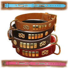 Load image into Gallery viewer, Traditional staffordshire bull terrier leather collars with suede backing and brass furniture
