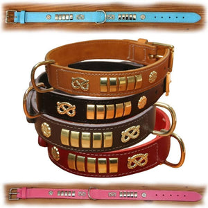 Traditional staffordshire bull terrier leather collars with suede backing and brass furniture