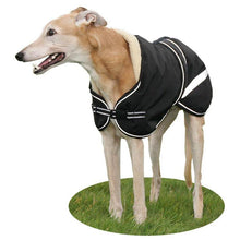Load image into Gallery viewer, greyound starbright dog coat. best quality coat for greyhounds and lurchers. black with reflective 
