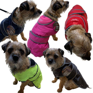 waterproof dog coat with harness hole