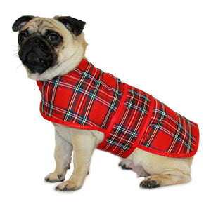 pug in red tartan dog coat 