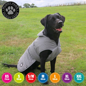 fully reflective dog coat. ultimate in night time safety and comfortable and warm in cold winter