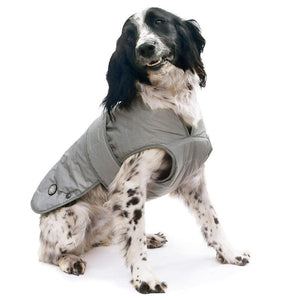 ultimate reflective dog coat on spaniel. fully reflective surface, waterproof, weatherproof