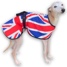 Load image into Gallery viewer, whippet in union jack kennel coat
