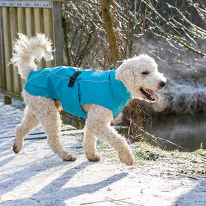 dog coat with leg straps and underbelly protection