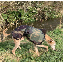 Load image into Gallery viewer, By the river - Joey the whippet in his waterproof camouflage whippet coat with head down
