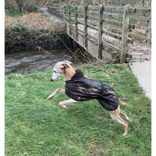 Load image into Gallery viewer, Whippet leaping and jumping wearing a DryDogs whippet coat 
