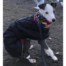 Load image into Gallery viewer, whippet puppy coat
