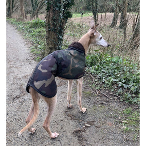 Camouflage whippet dog coat from the side. Weather resistant whippet coats for all weathers