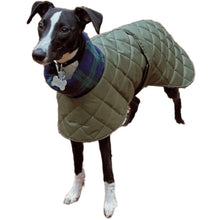 Load image into Gallery viewer, Quilted whippet coat. Waterproof. Suitable for all sighthounds including greyhounds
