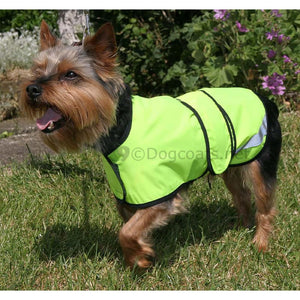 yorkshire terrier dog coat with reflective hivis high visability coat | DryDogs
