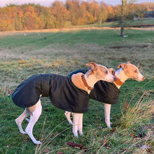 Load image into Gallery viewer, trendy whippet waxed green greyhound whippet coats
