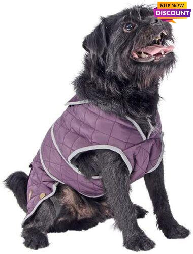 Purple dog coat quilted