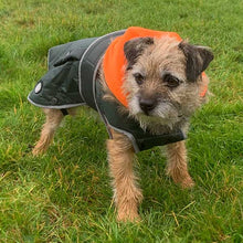 Load image into Gallery viewer, Border Terrier Dog Coat with harness hole
