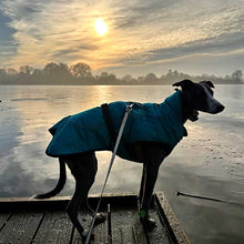 Load image into Gallery viewer, Margot the whippet by the lake
