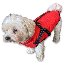 Load image into Gallery viewer, dog coat with built in harness
