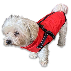 dog coat with built in harness