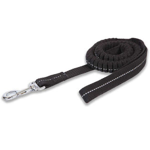ideal for a dog that pulls or is otherwise excitable on walks. A shock absorbing dog lead is a must.