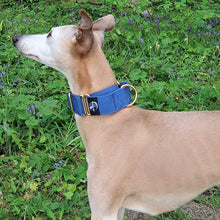 Load image into Gallery viewer, greyhound martingale collar with brass fittings
