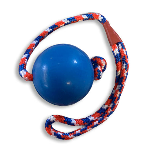 Rubber ball on 2024 rope dog toy