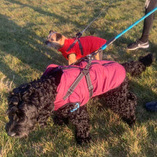 Load image into Gallery viewer, cockerpoo dog coat with built in harness
