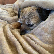 Load image into Gallery viewer, lightweight, super soft pet blanket
