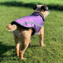 Load image into Gallery viewer, rear view of our blackdog waterproof dog coat for smaller dogs
