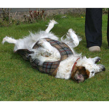 Load image into Gallery viewer, what is the best coat for my spaniel
