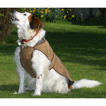 Load image into Gallery viewer, best dog coats uk
